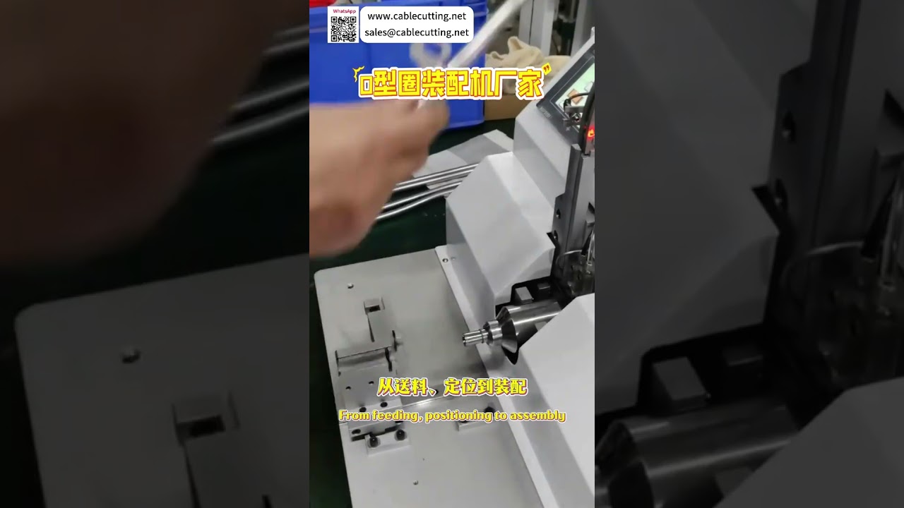 Automatic O Ring Assembly Machine High Efficiency Sealing Ring Custom Equipment Supplier