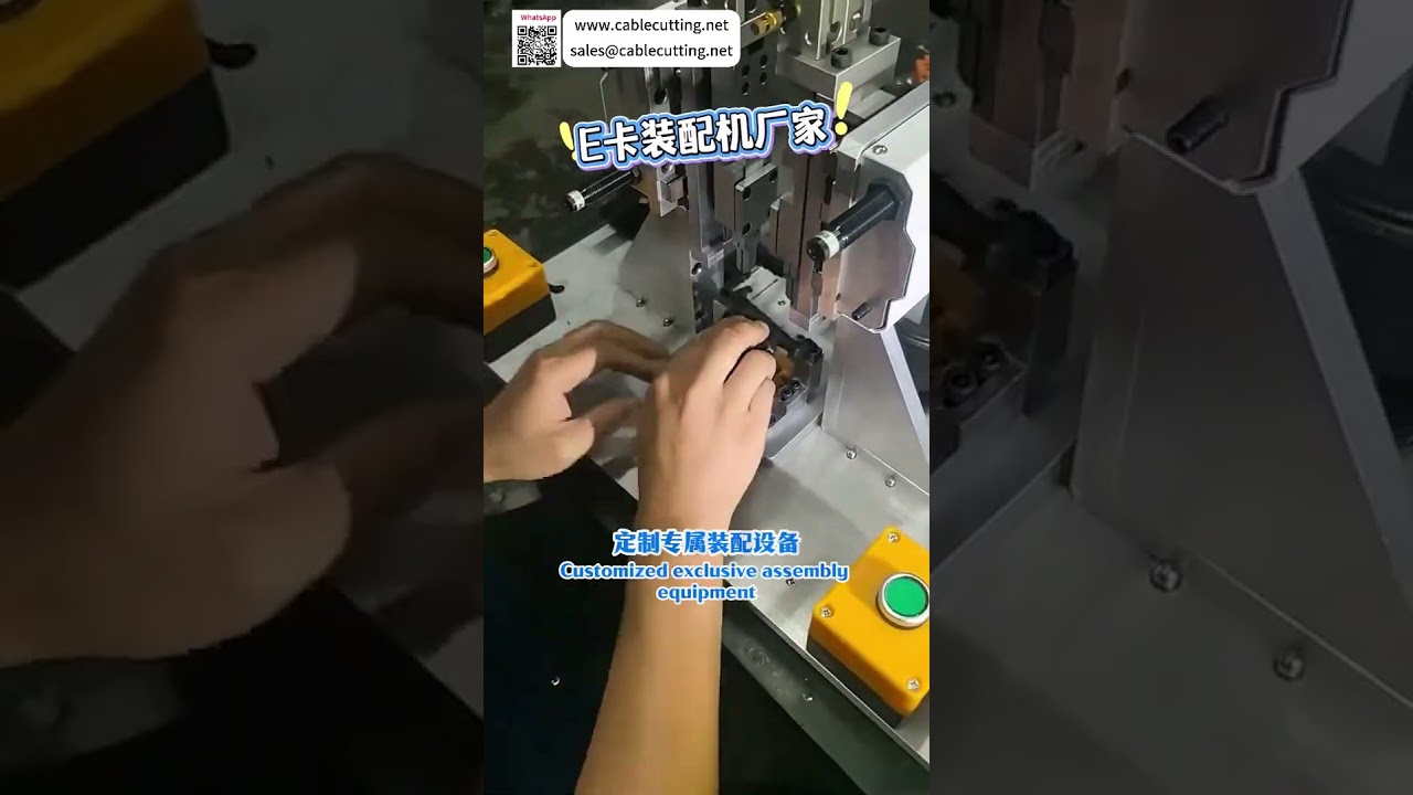 Custom E Ring Assembly Machine High Efficiency Automatic Manufacturing Equipment Factory