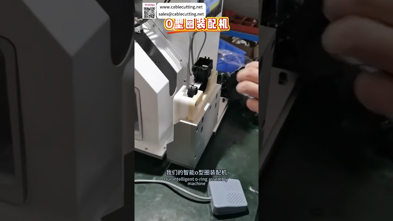 Hochleistungs-Smart-O-Ring-Montagemaschine mit schnellem Formwechsel für automatisierte Dichtungstechnik