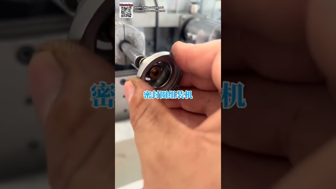 Hochleistungs-Automatisierungsanlagen für die Fertigung von O-Ring-Dichtungen und Beschlagteilen