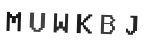 Verification Code Image